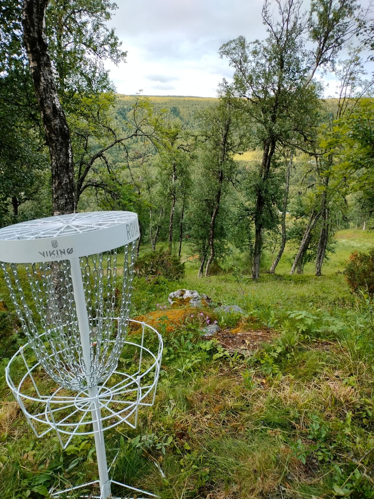 Hål 7