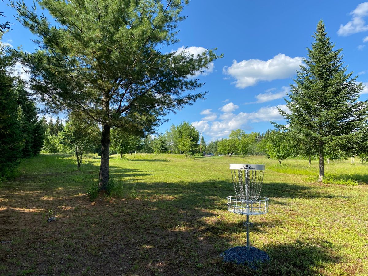 Hole 1 behind basket