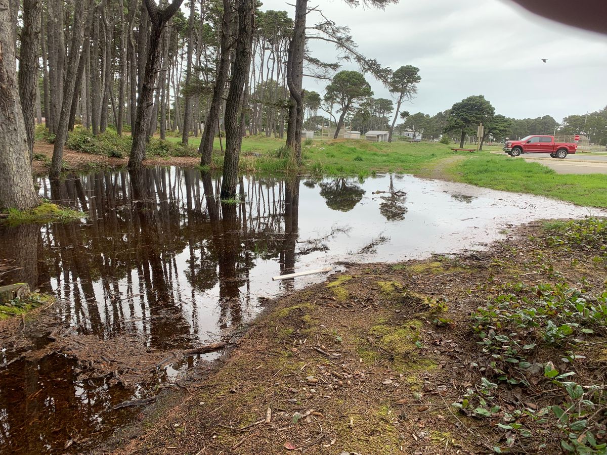 Winter puddle on 15.