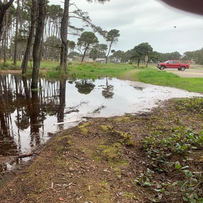 Winter puddle on 15.