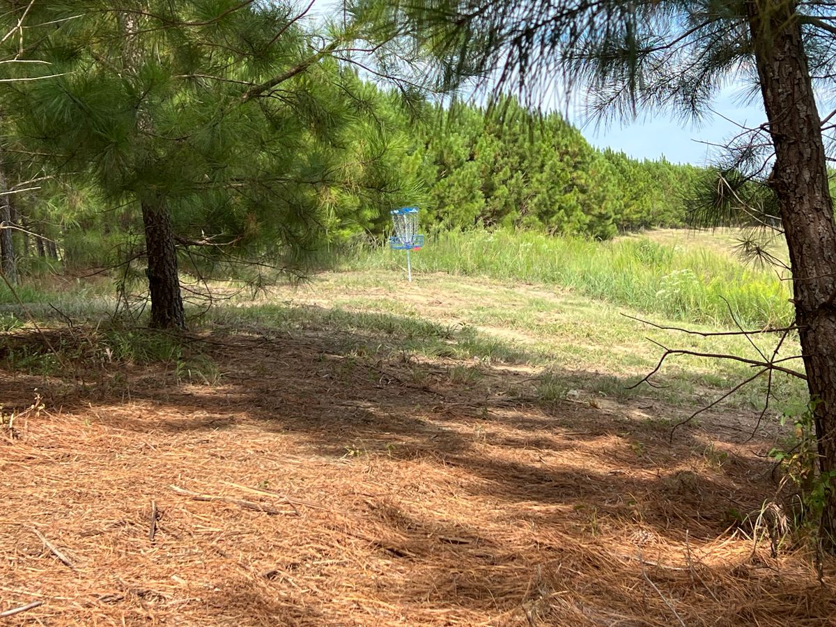 Hole 17’s Green