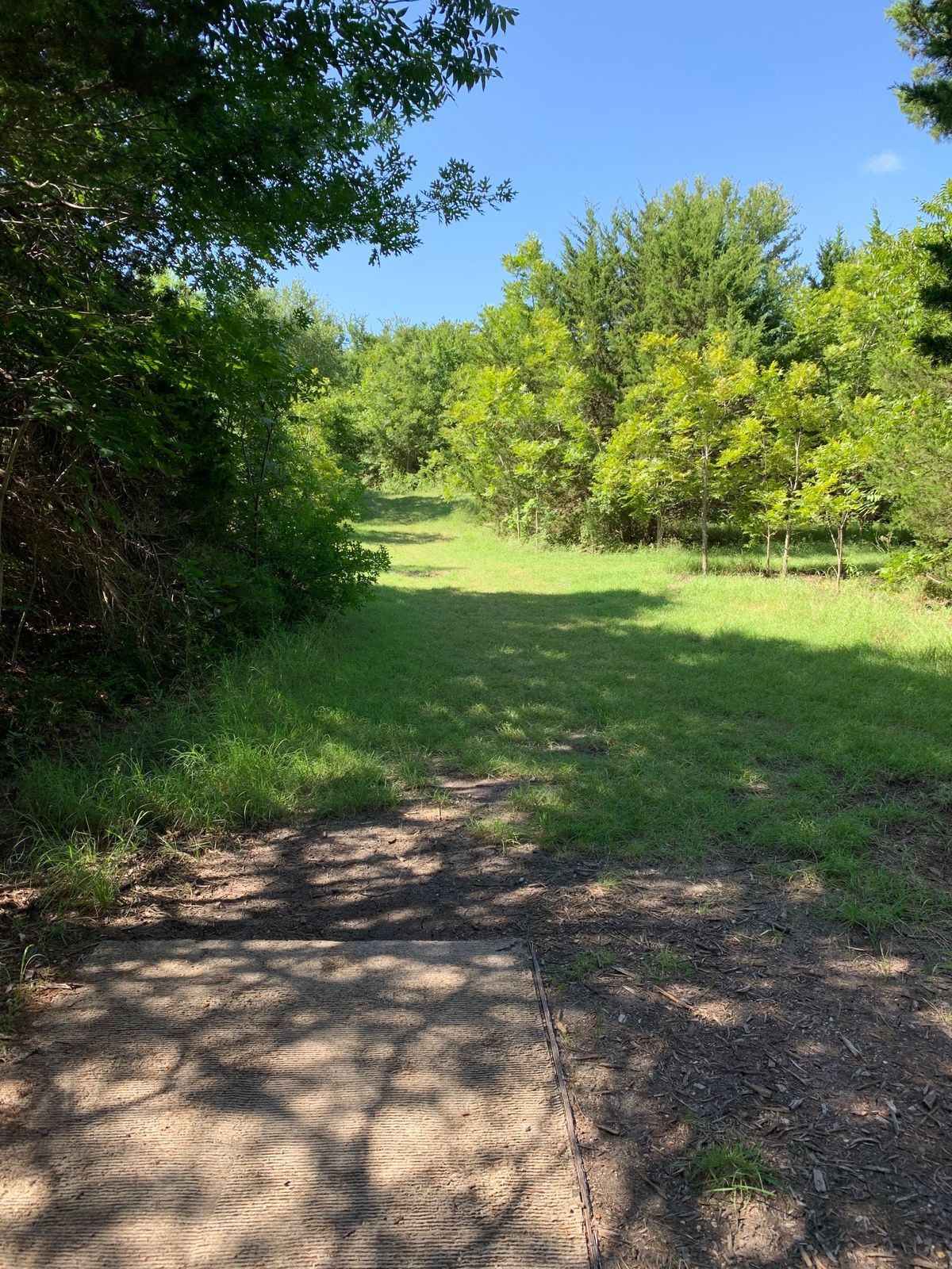 10 can’t see basket from tee pad, almost 90-degree right turn after trees approx 150-175ft ahead