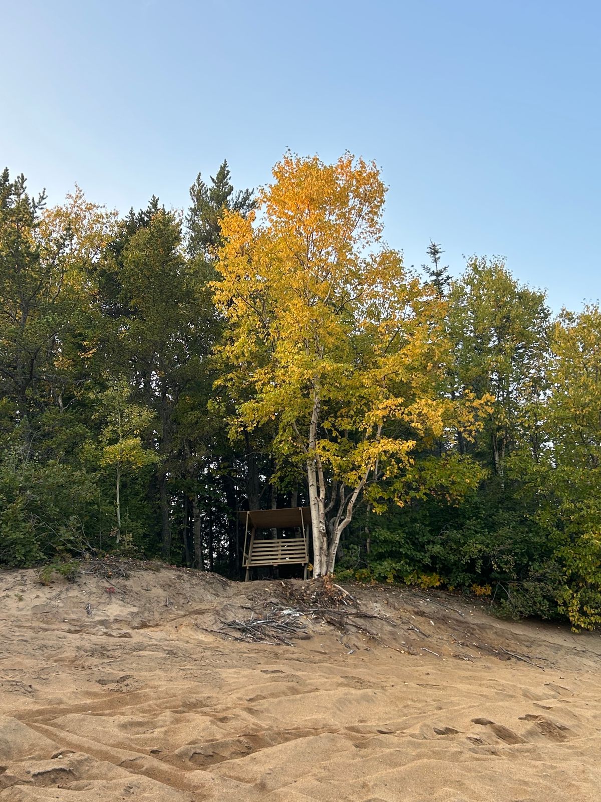 Banc situé au départ BLEU #2