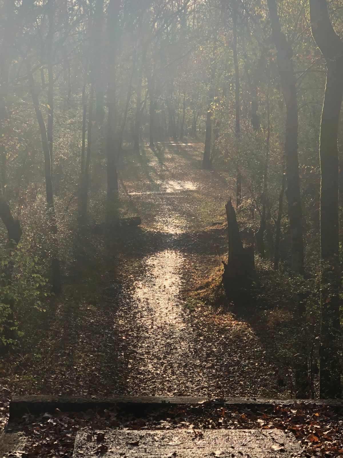Hole 14