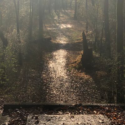 Hole 14