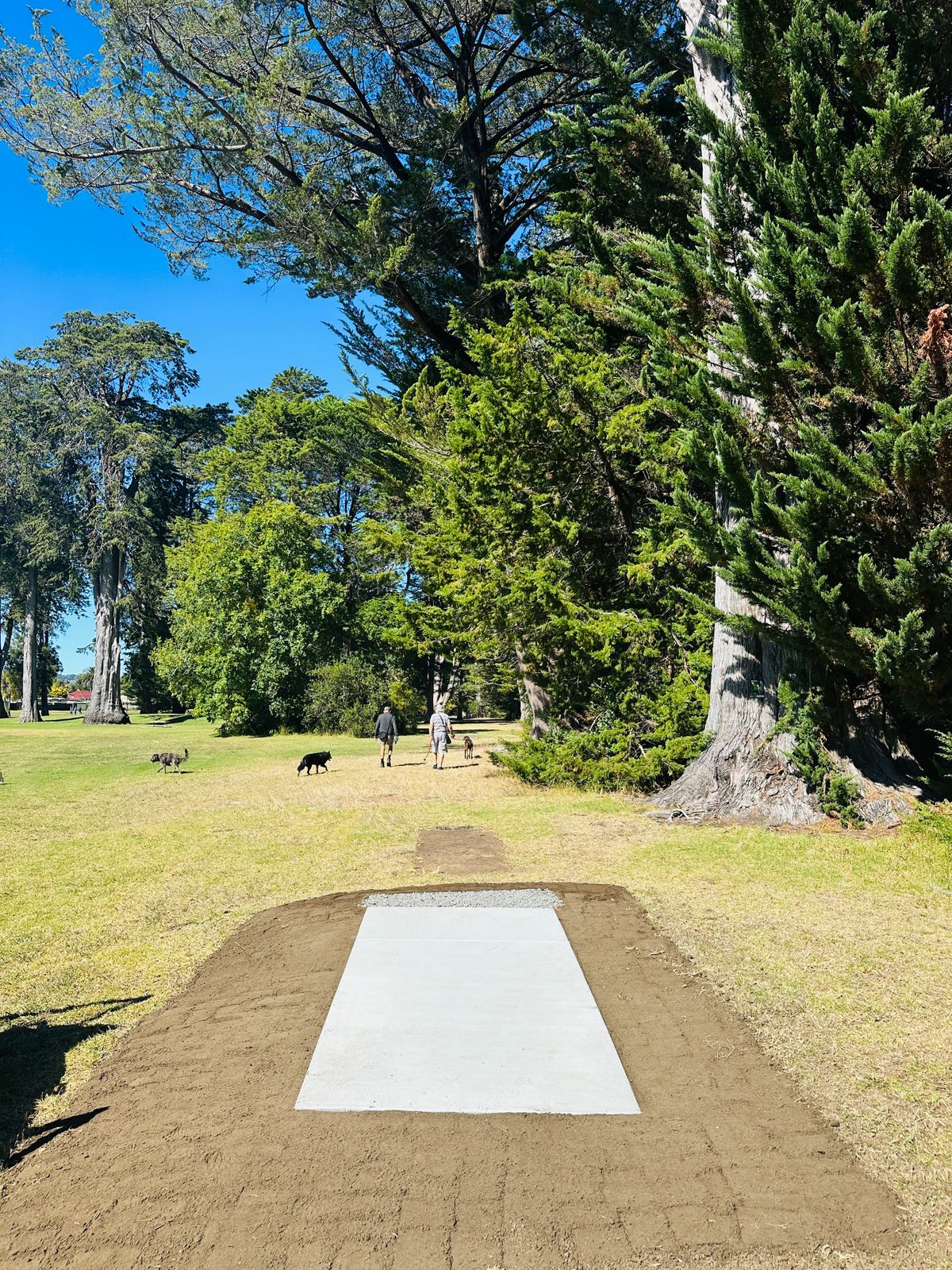 Disc Shop NZ custom tee pad upgrade 2025