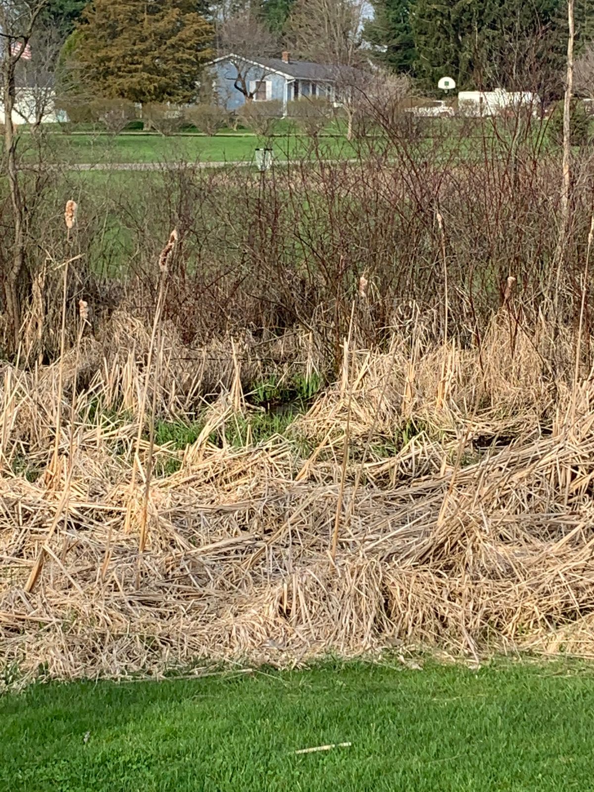 New Hole 8