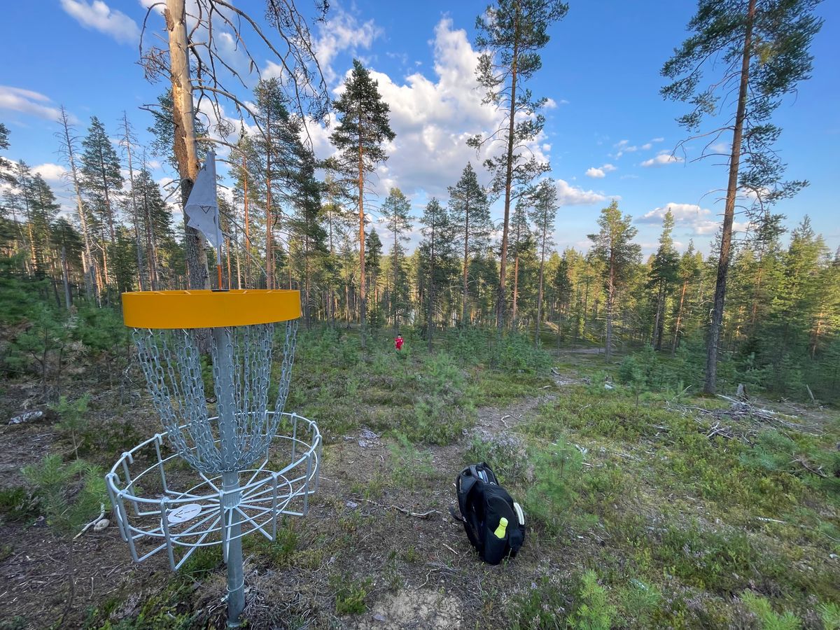 Näkymät 14 väylän korilta