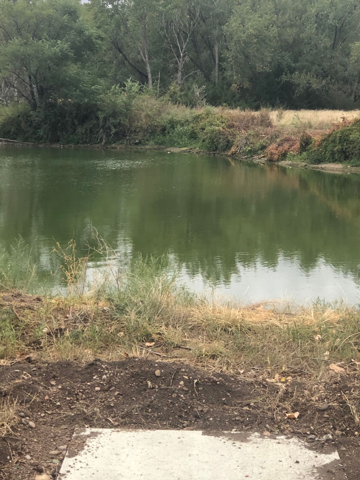 Hole 6- par 3