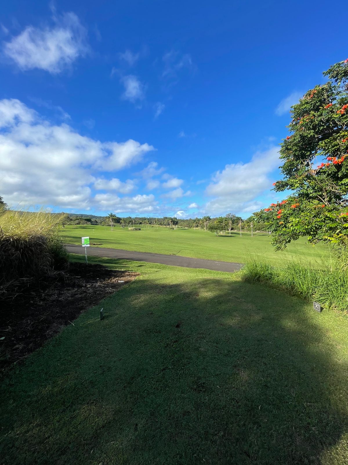 Whole 1 tee box!