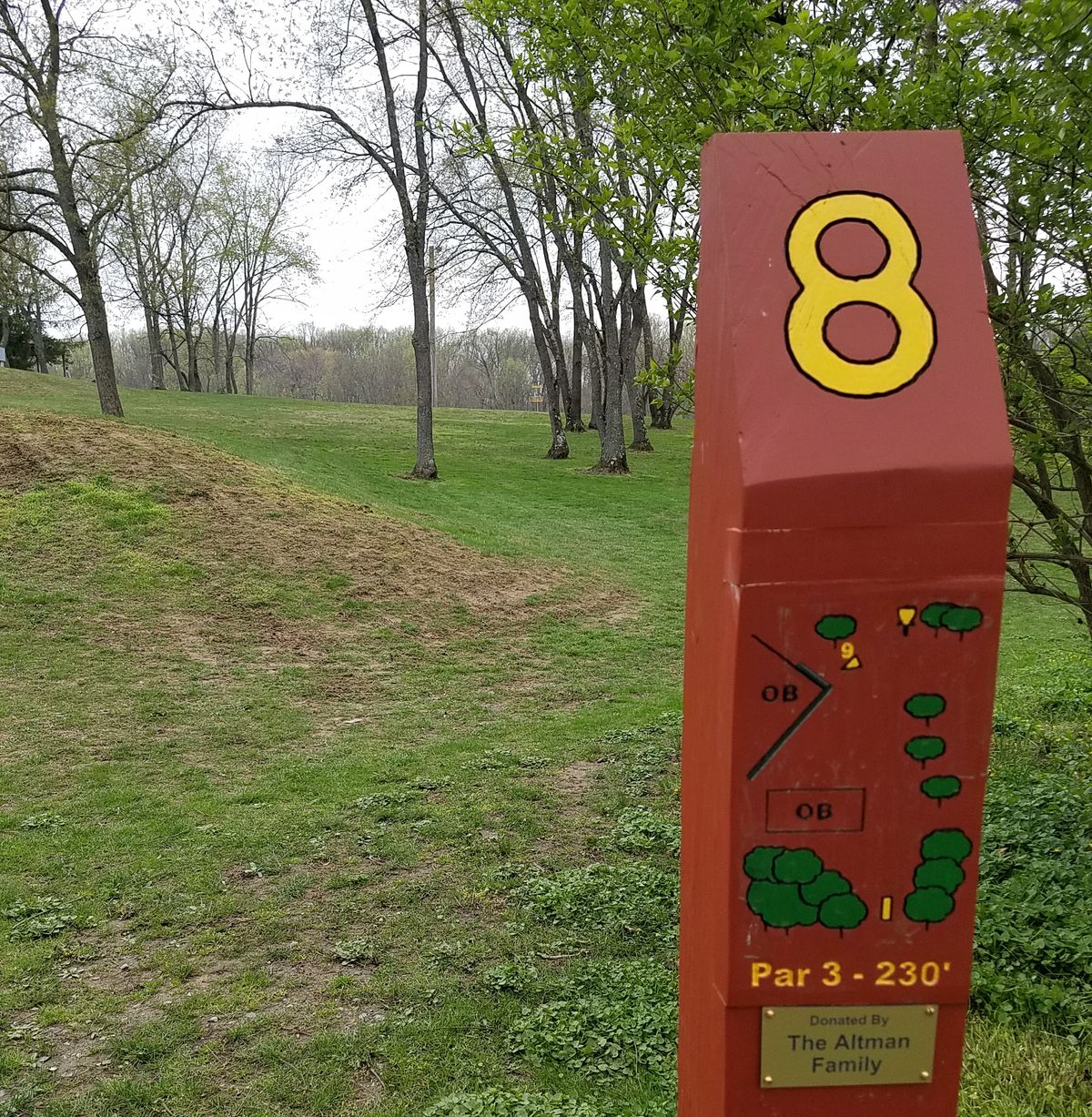 Hole 8 tee