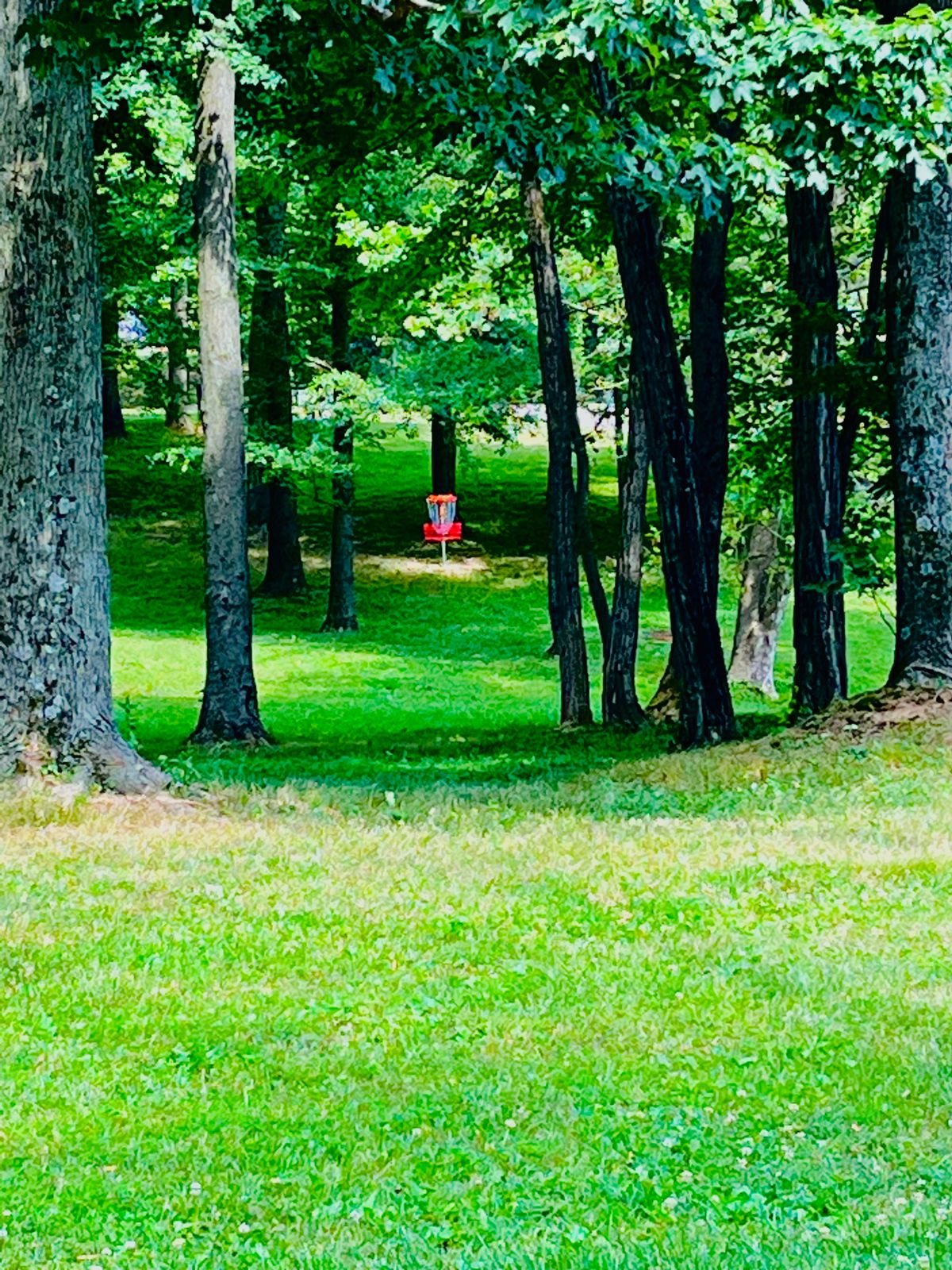 Hole 14