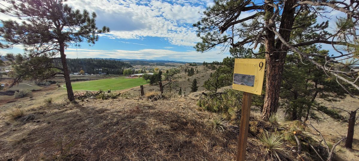 Hole 9 Tee