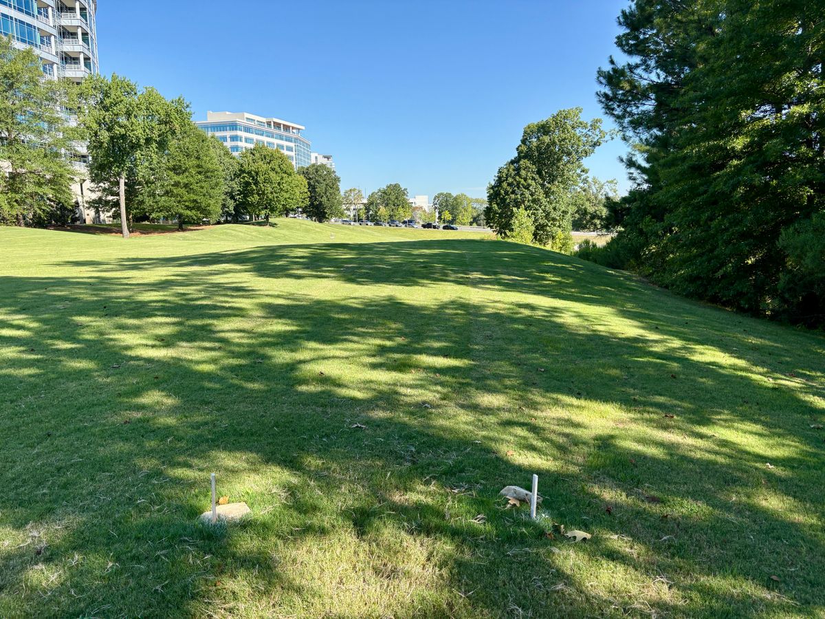 Hole 8 tee