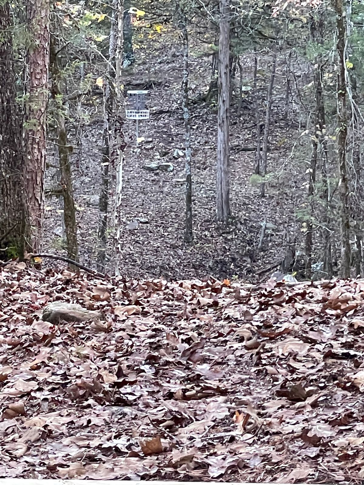 Hole 18 Basket