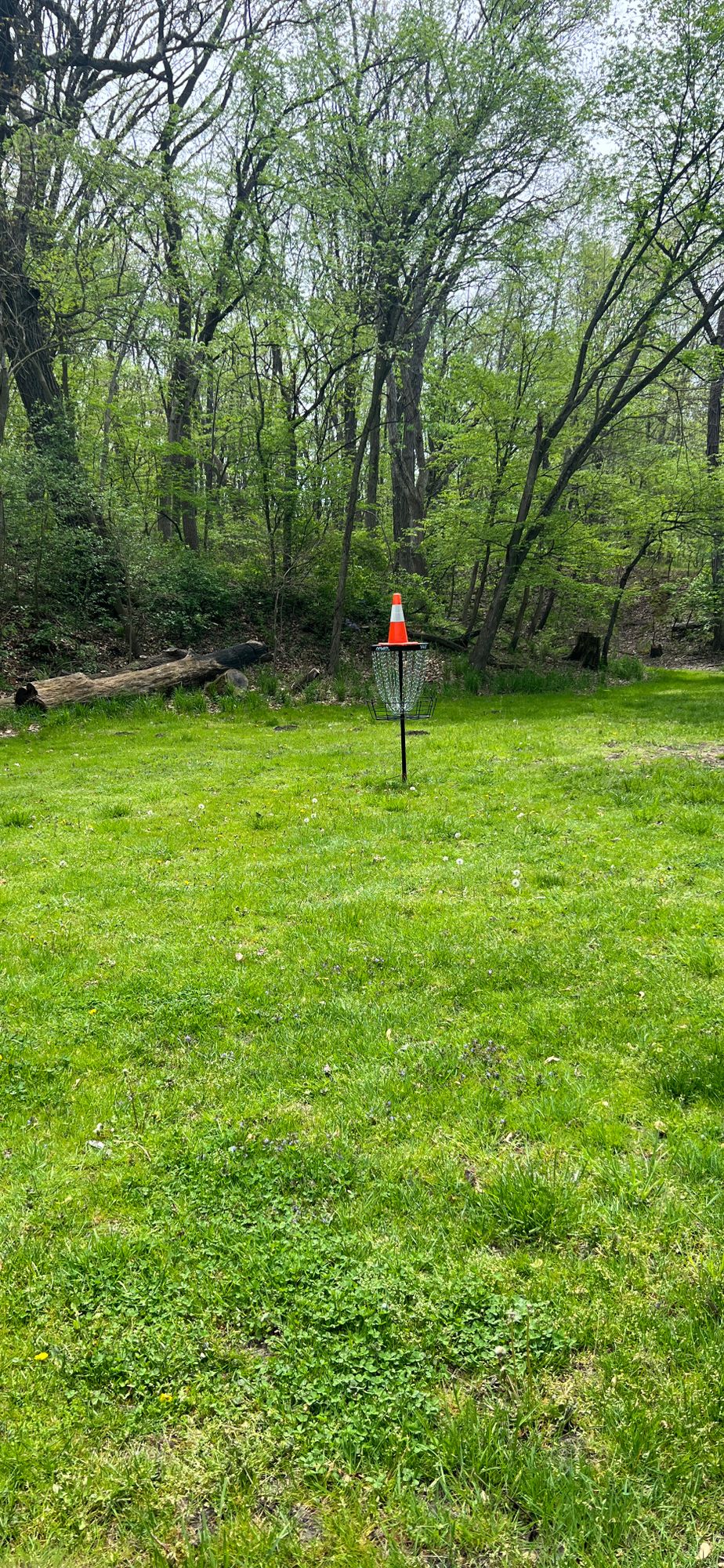 Hole 3