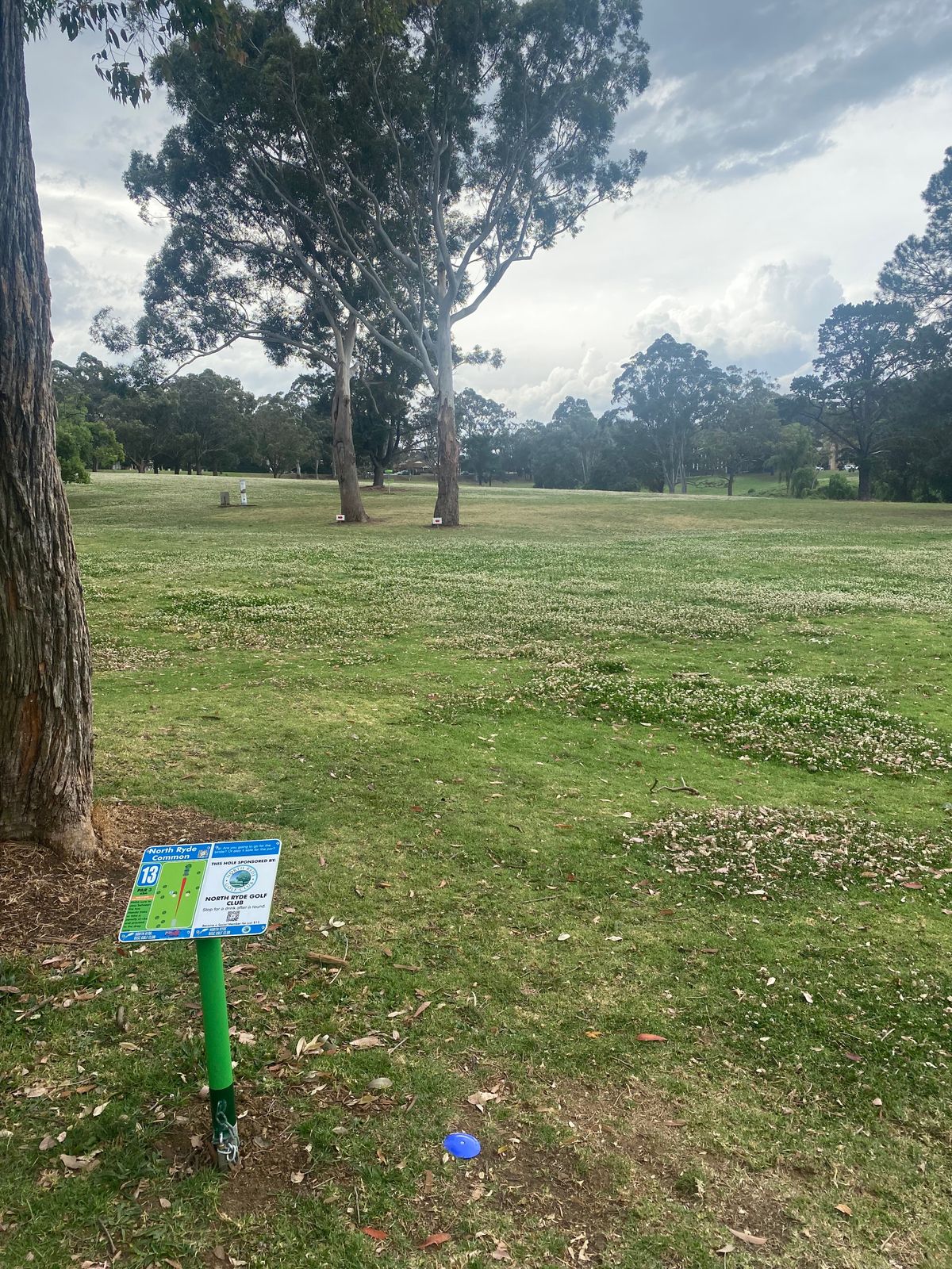 Hole 13 Fairway