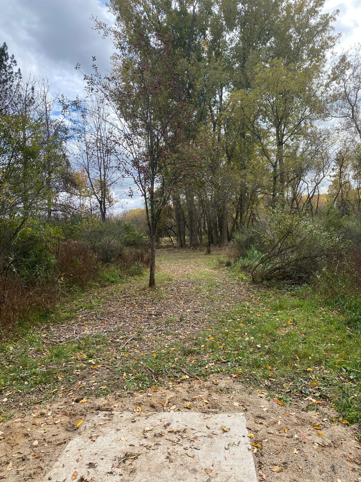 Hole 7 Tee Shot