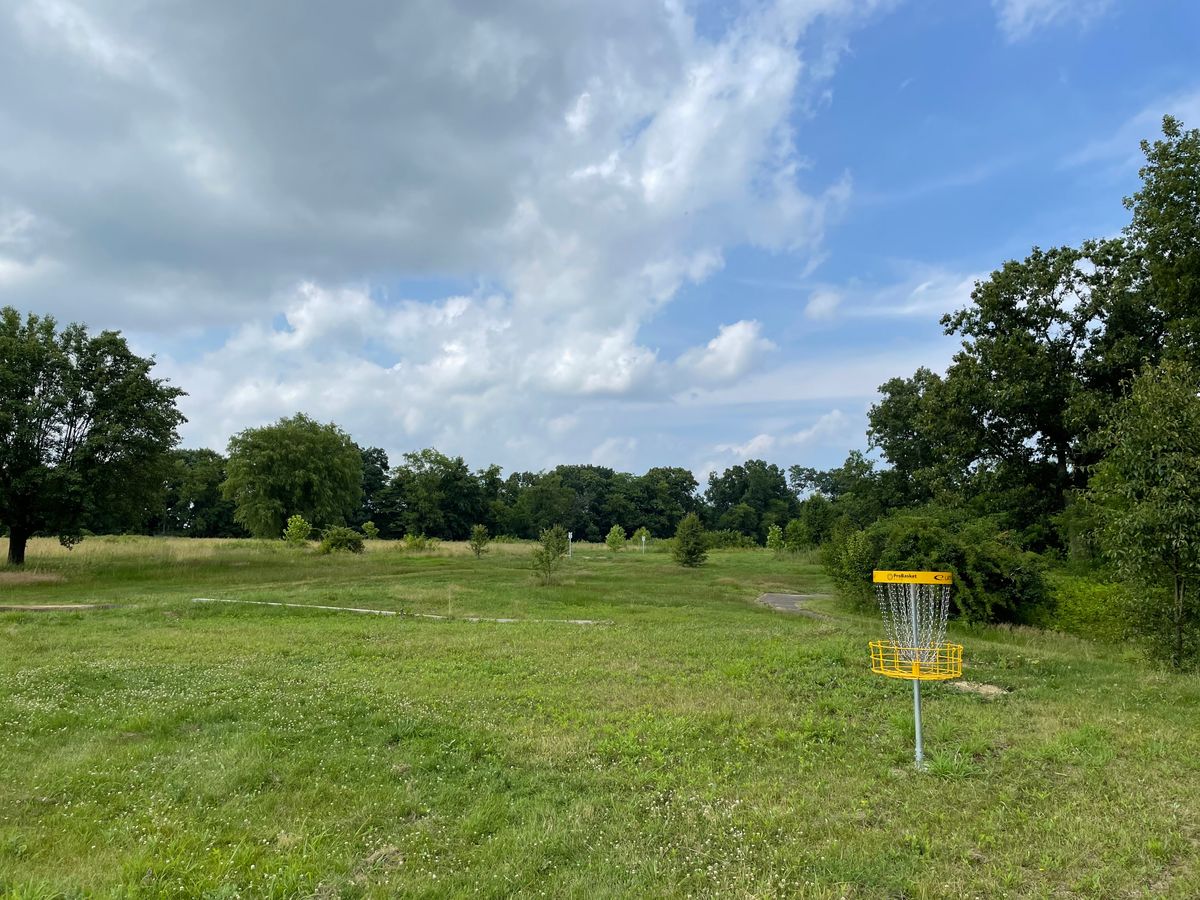 Behind basket looking back at Tees