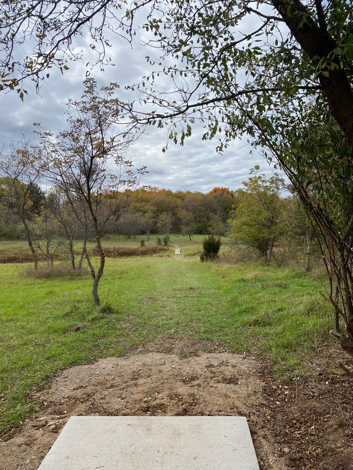 Hole 17 teeshot. Basket up hill in back