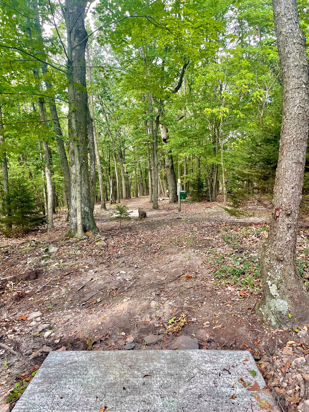 Hole 12 teepad