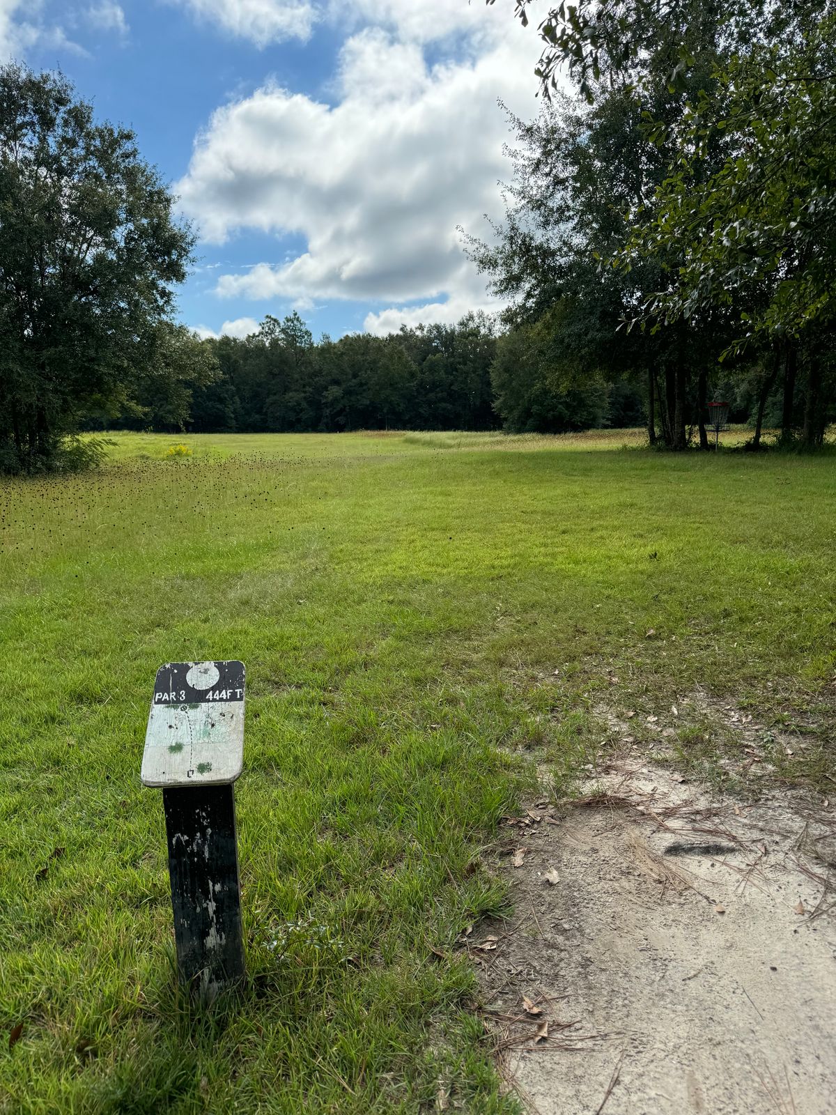 Hole 7 tee