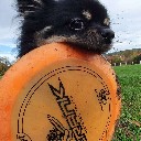 discnero