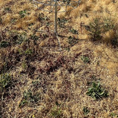 There are three of these portable targets that make up the nicest to play