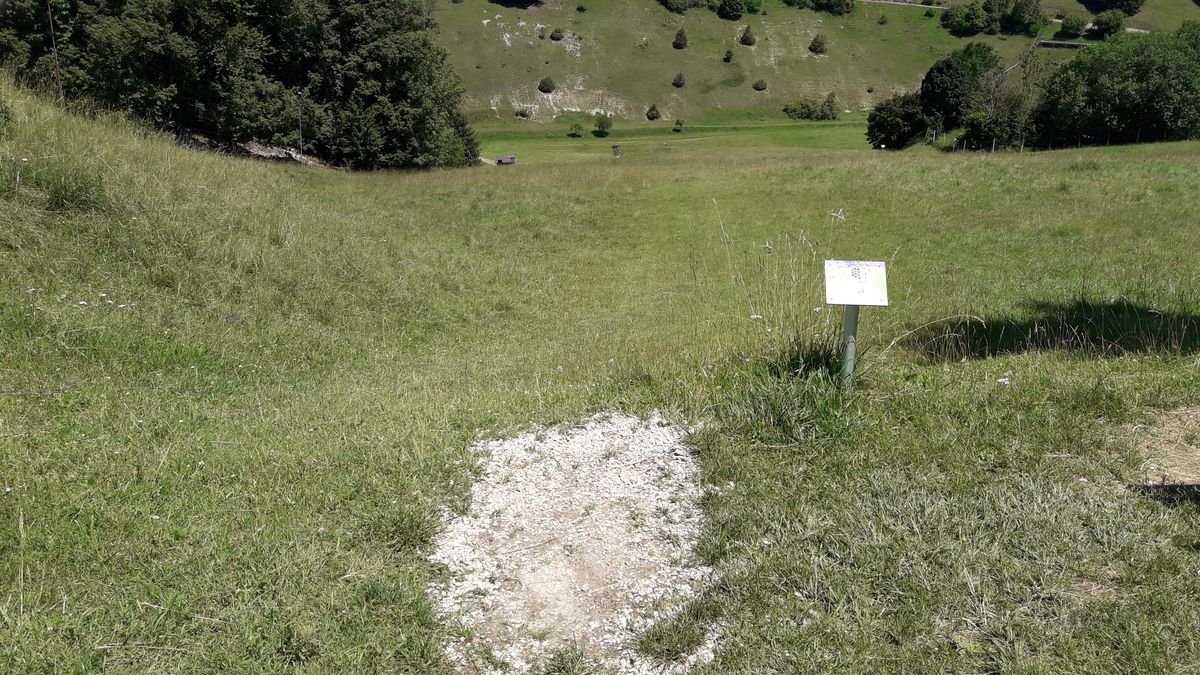 Hole 6 - straight down, don't overshoot, it's quite short