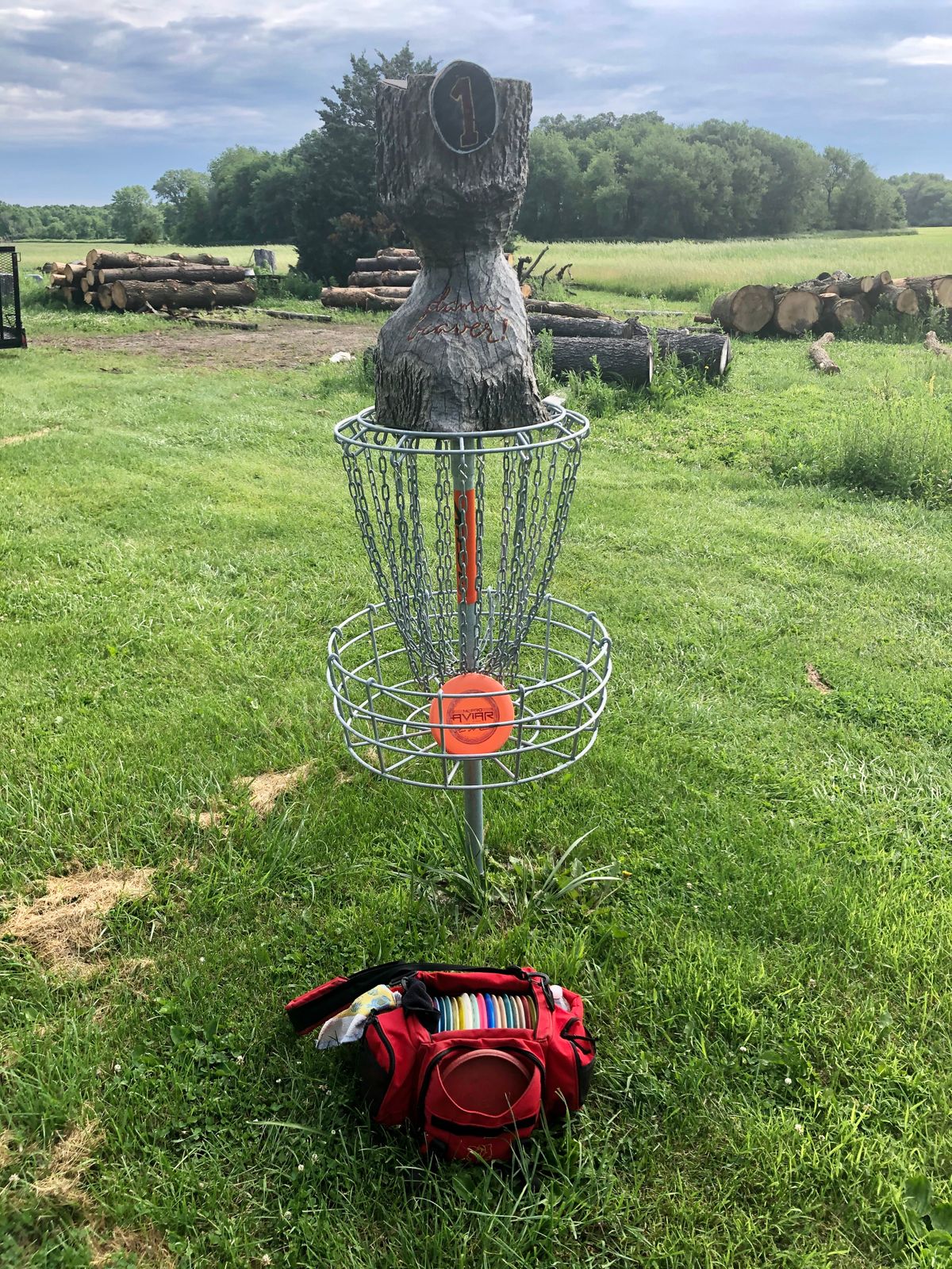 Basket Hole #1.