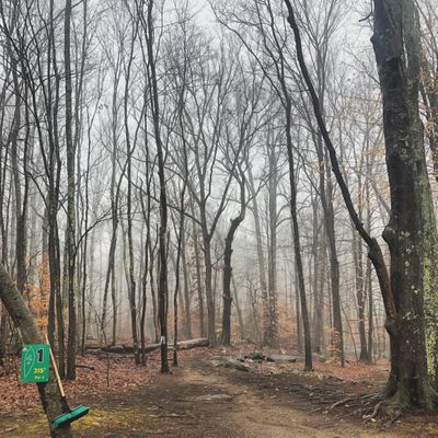 Hole 1