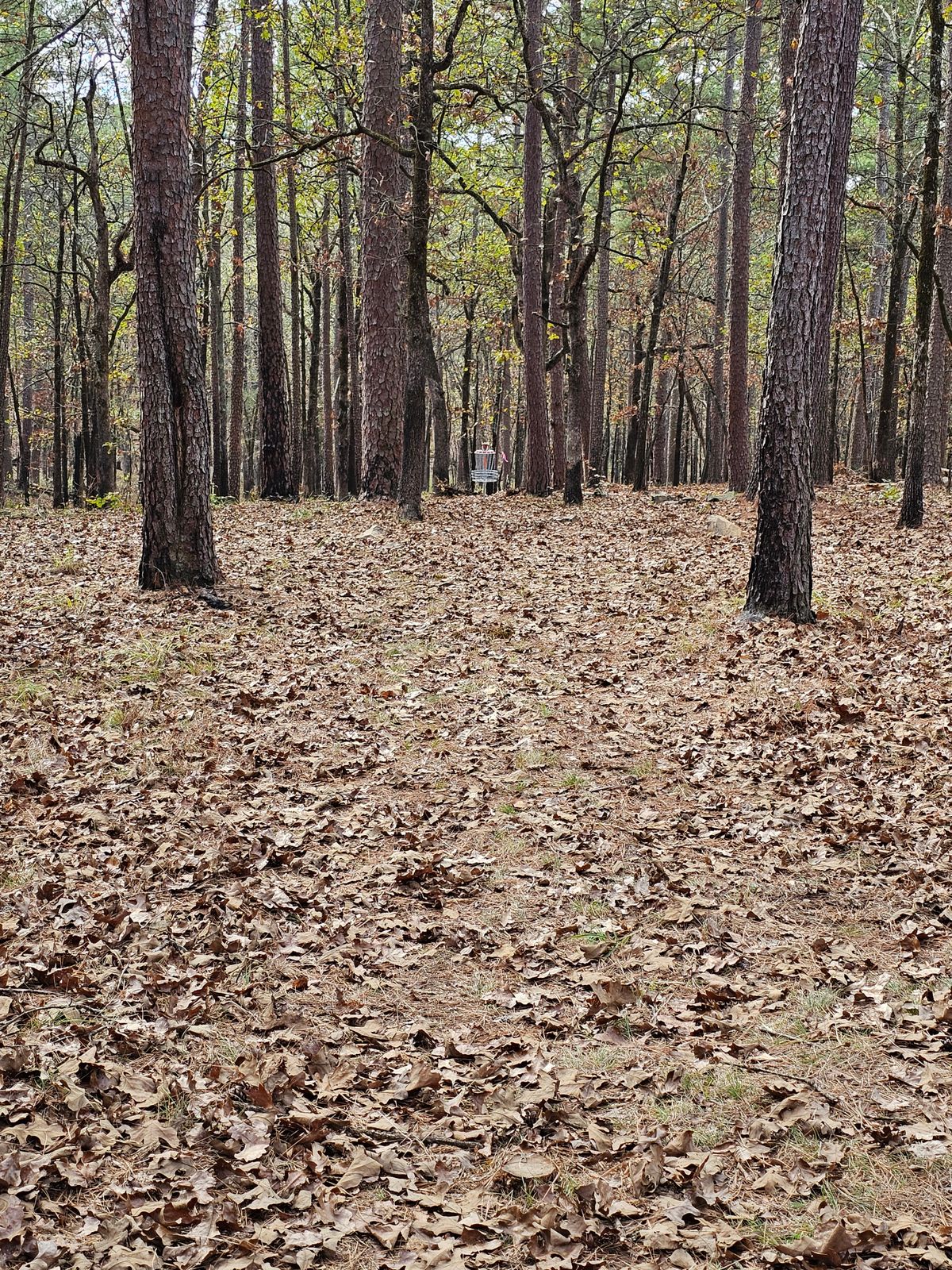 Hole 6