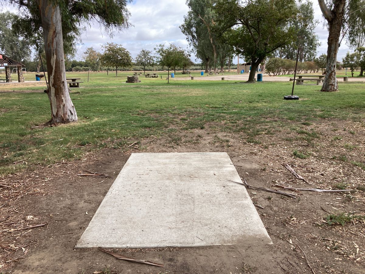 Tee 1