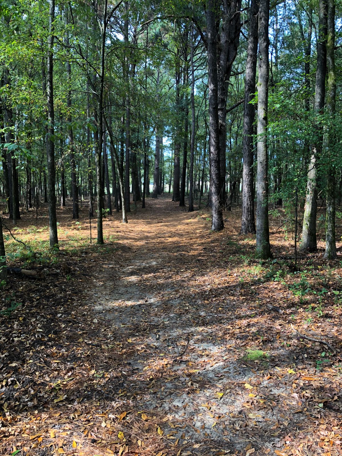 Hole 6