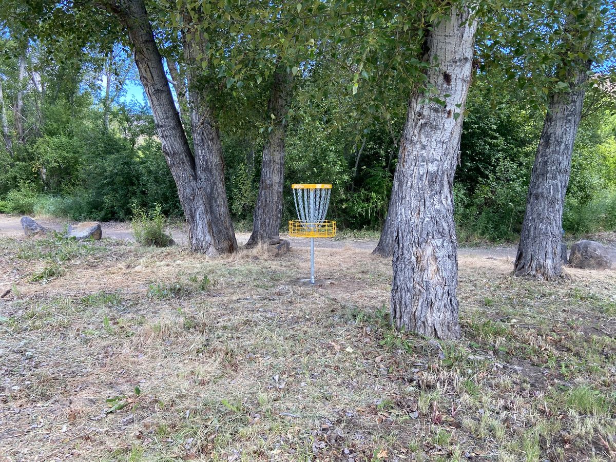 Basket 1