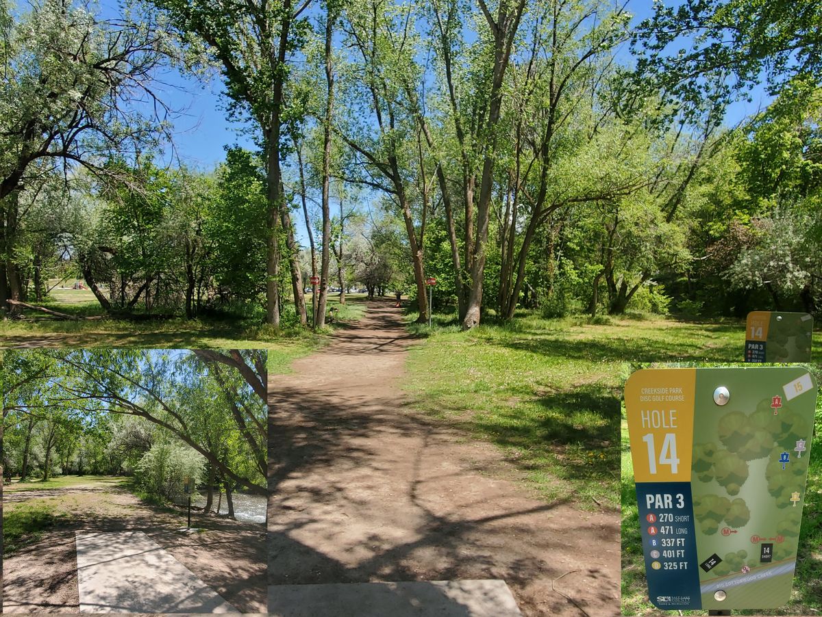 Hole 14, Short and Long Pads.