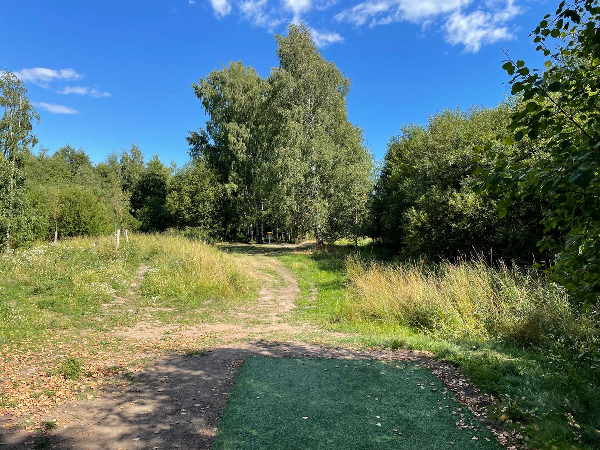 Hole 5