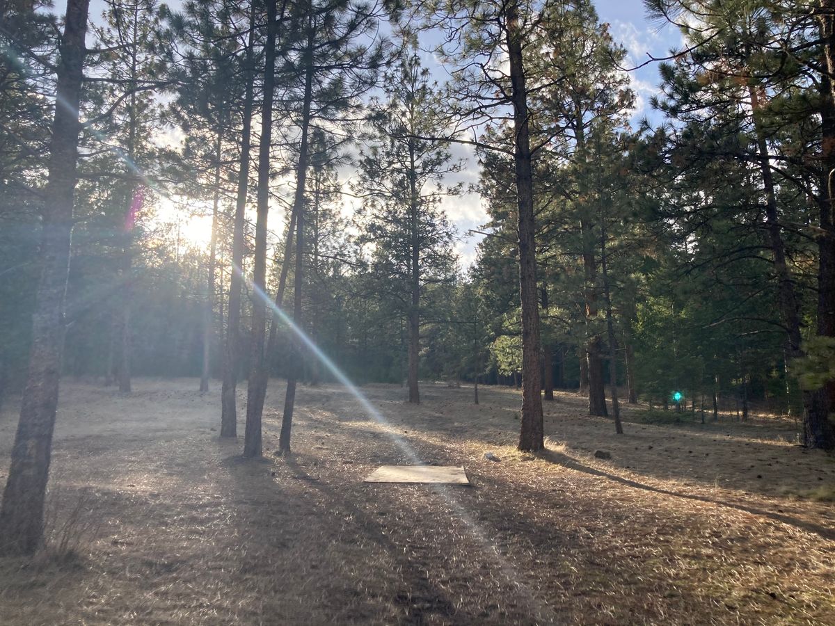 Hole 15 white tee