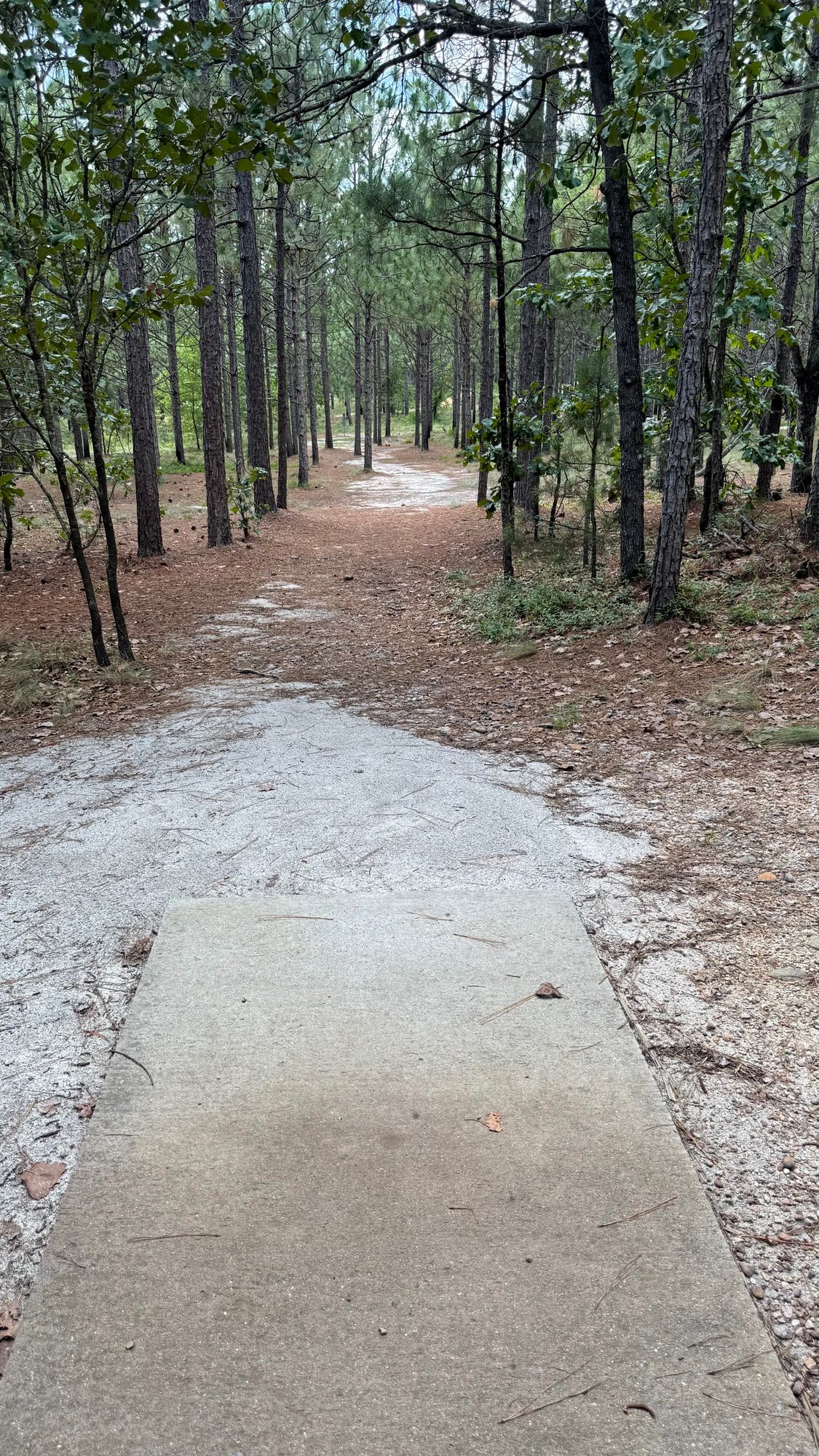 Hole 13 Tee Pad