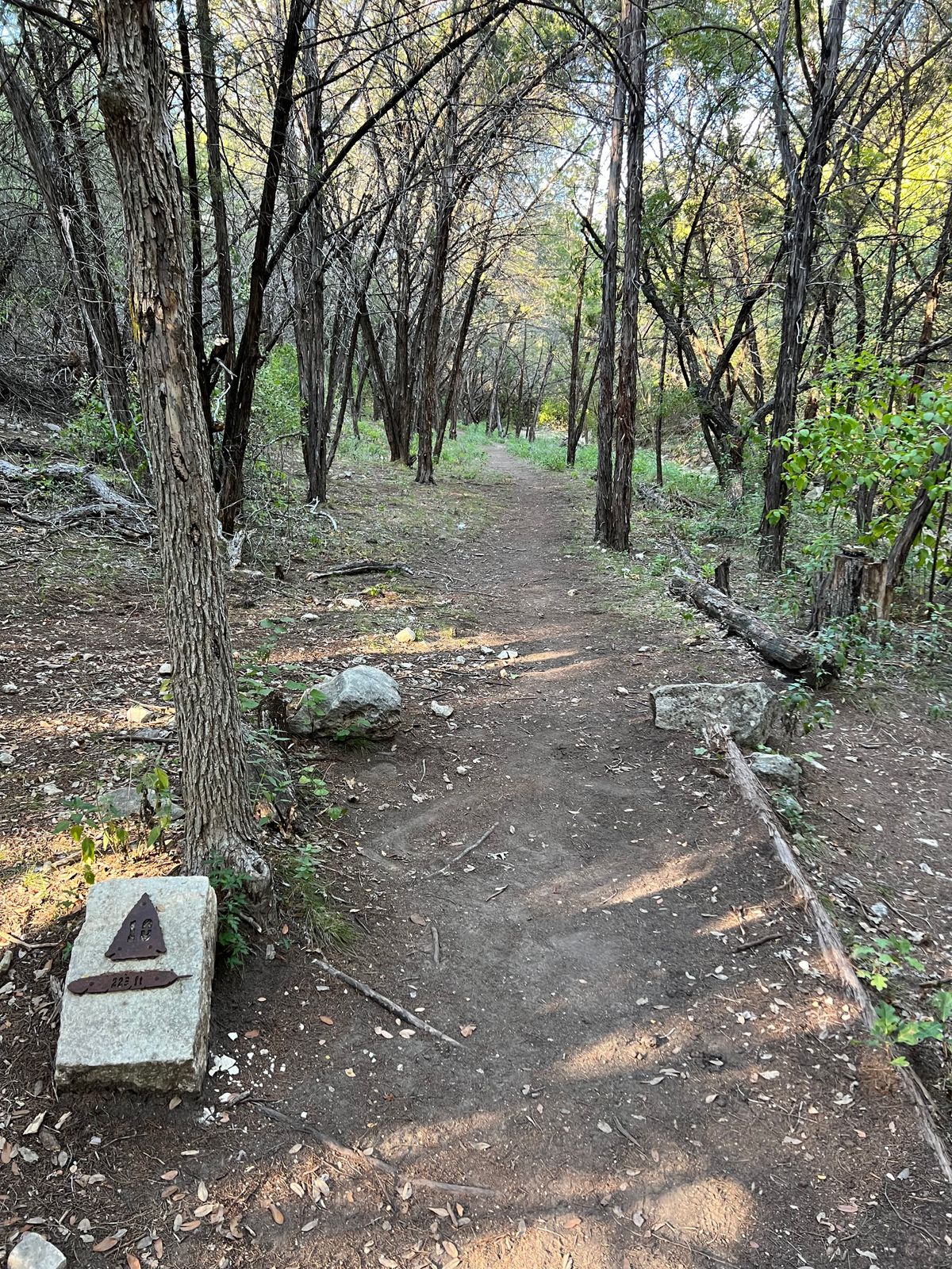 Hole #10 Main Tee