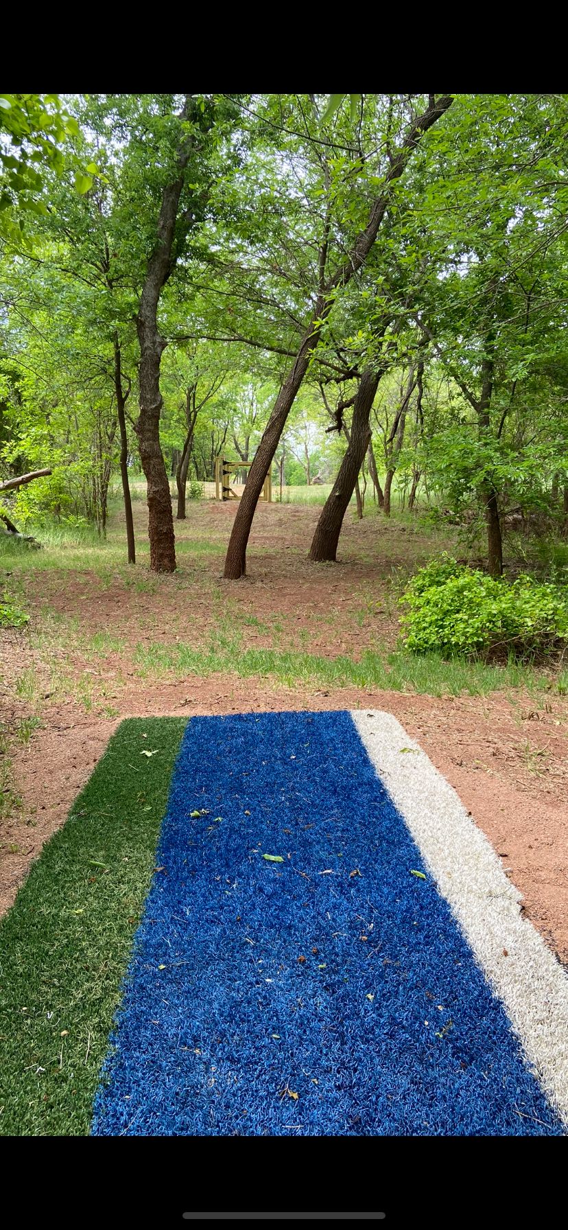 #5 Teebox