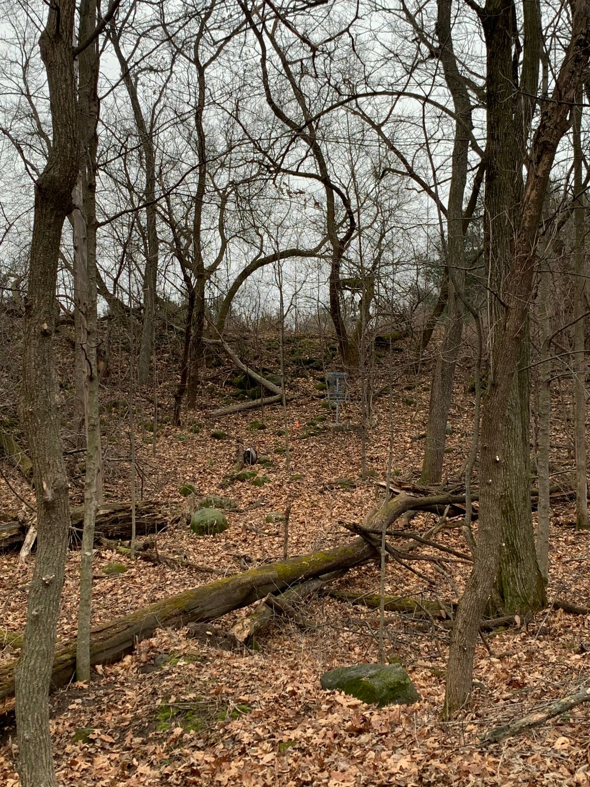 Hole 5 - C Position