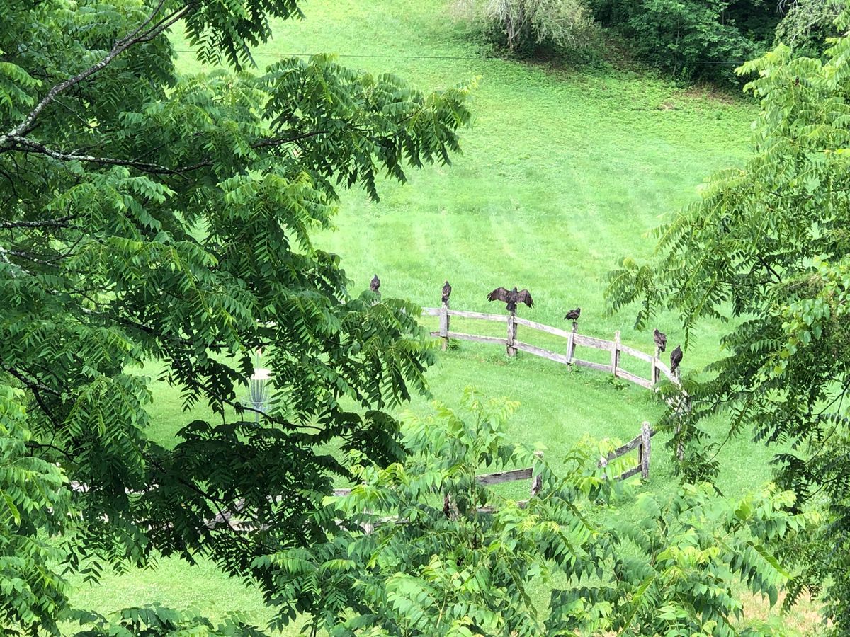 Hole 12 corral hole summer ‘22