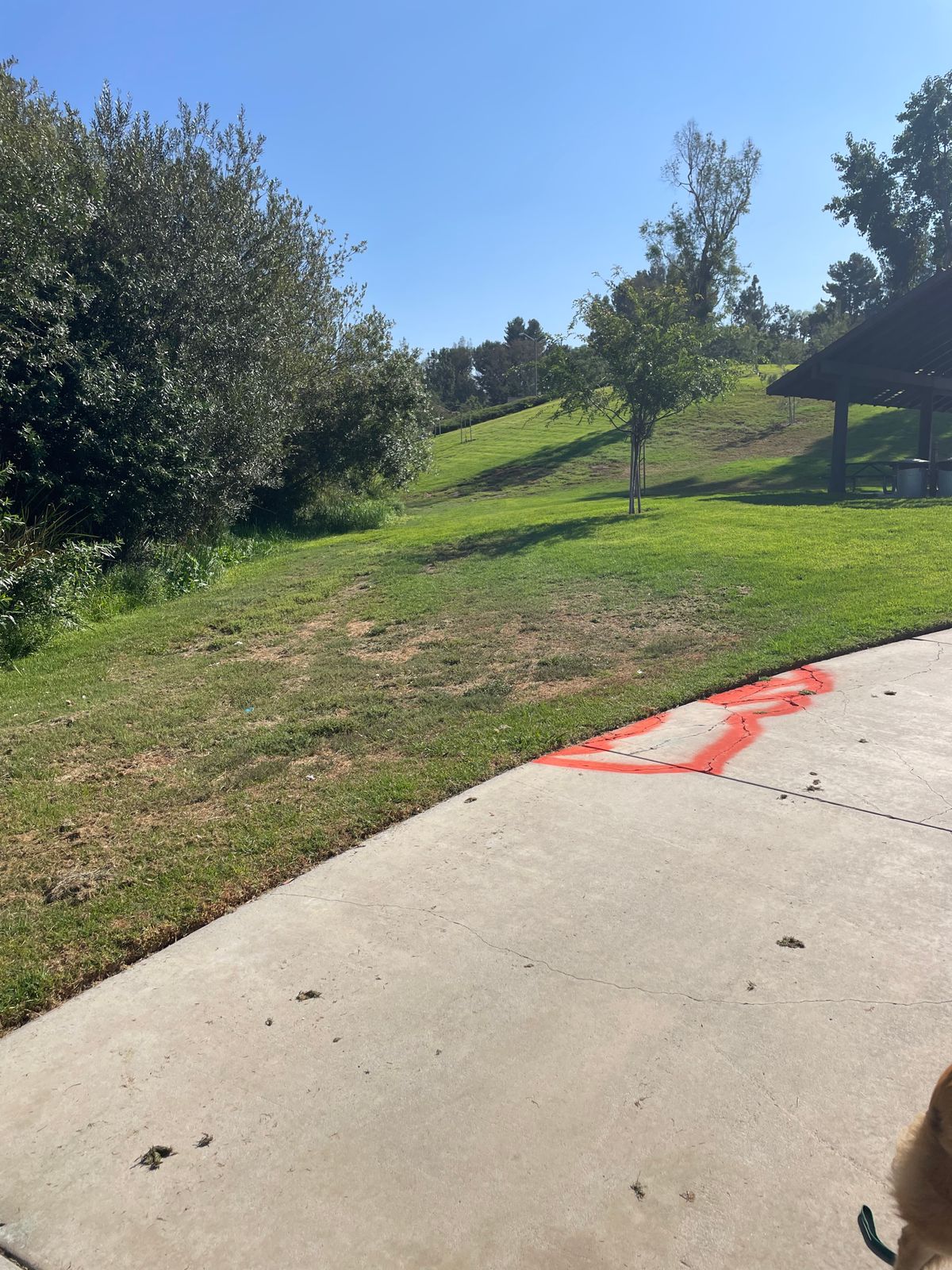 Hole 1 tee pad. 
Must pass to left of mando tree up on hill to the right.