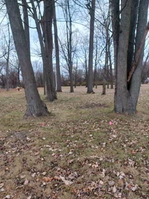 Nash Park Disc Golf Object Course Livonia MI UDisc Disc Golf 