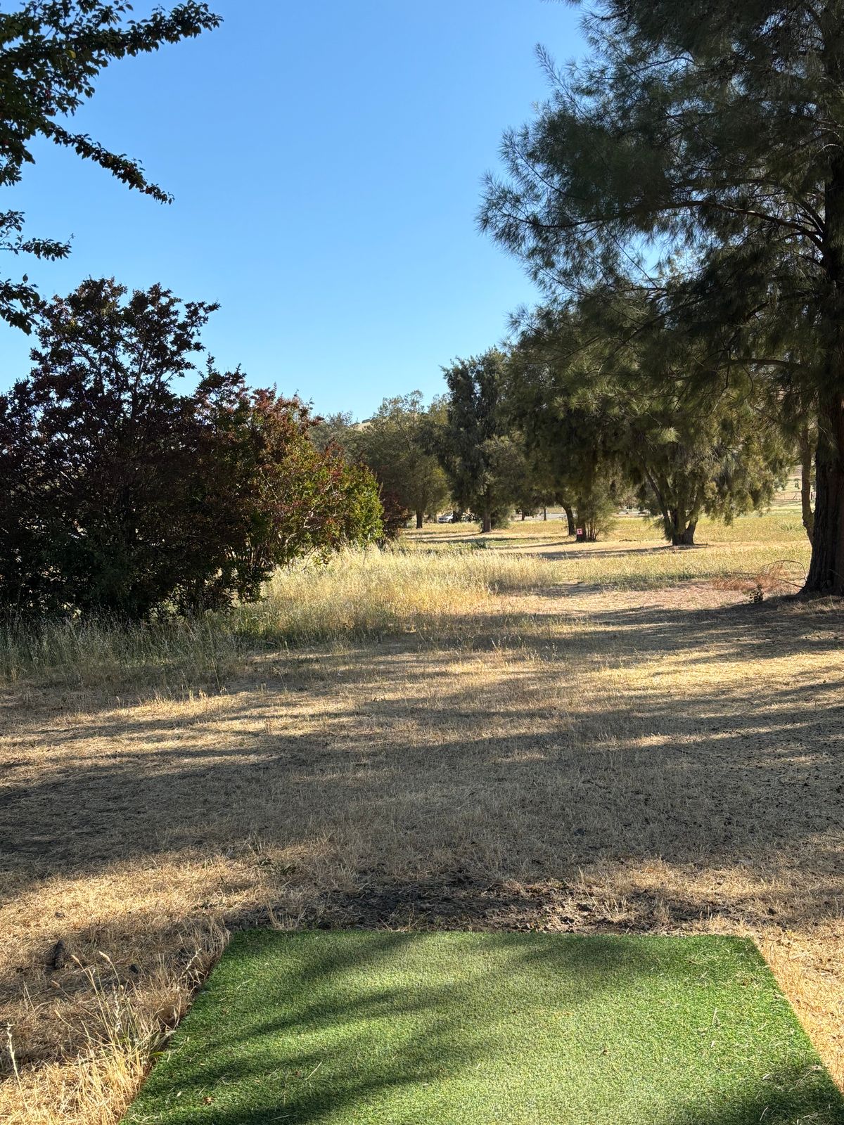 Lagoon Front Hole 8