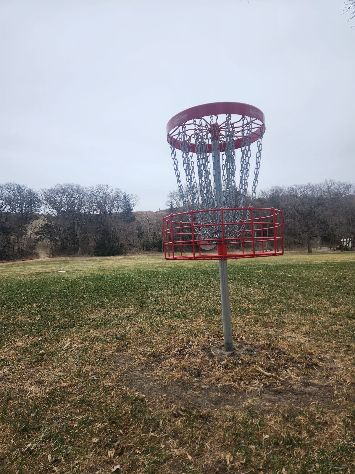 Hole 9 Basket looking back at the Tee