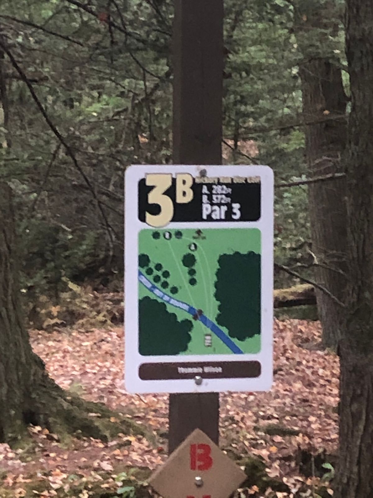 New favorite course
