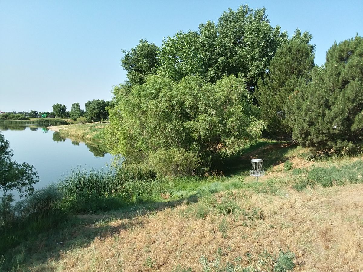 Hole 4 basket