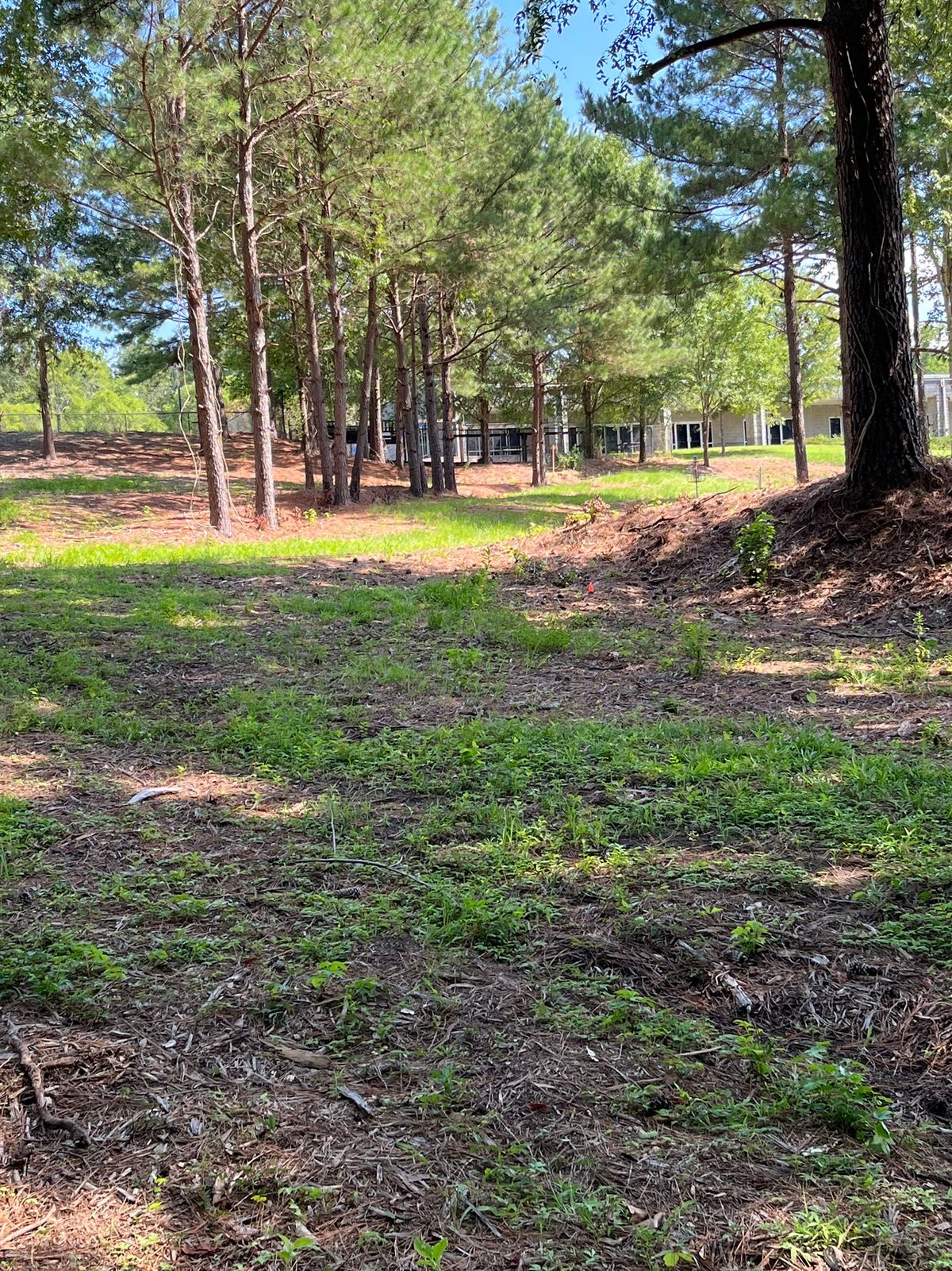 Hole 9 basket